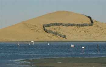 NAMIBIA, Walvis Bay, Barrier to prevent dune movement and lagoon with flamingos below