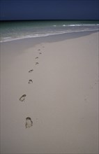 KENYA, Indian Ocean, Footprints in sand at the waters edge.