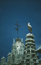 WILDLIFE, Birds, Stork, White Stork standing by nest in chimney pot in Avila Spain