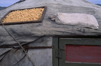 MONGOLIA, Overhangai , Dried cheese on roof of a yurt / ger