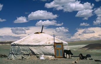 MONGOLIA, South Gobi , Dogs guarding Yurt / ger