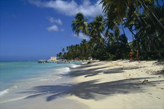 WEST INDIES, Tobago, Pigeon Point, View along shoreline and palm tree lined beach