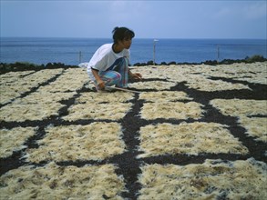 JAPAN, Izu Islands, Fishing, Woman tending seaweed drying in the sun