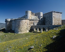 SYRIA, Central, Crac des Chevaliers, Crusader Castle in field of yellow wild flowers.