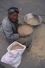 CHINA, Tibet, Tandruk, Elderly woman winnowing rice into a sack