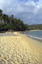 SRI LANKA, Unawatuna, View along golden sandy beach lined with palms and bathers by boats pulled on