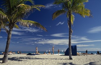 USA, Florida, Fort Lauderdale beach, Sandy beach with sunbathers on the sand near palm trees