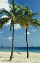 USA, Florida , Fort Lauderdale, Sunbather on sandy beach framed by palm trees.