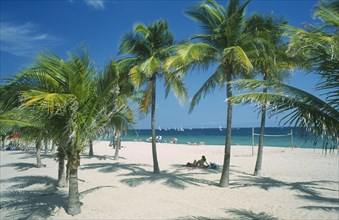 USA, Florida  , Fort Lauderdale, Palm trees and volleyball net on quiet white sand beach.