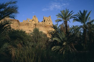 EGYPT, Western Desert, Siwa Oasis, Temple Of The Oracle on hilltop above date palm filled oasis
