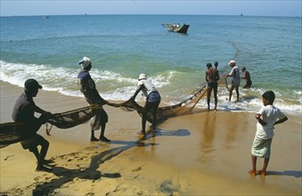 SRI LANKA, Negombo, Fishermen hauling seine net ashore on west coast beach.