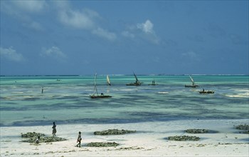 TANZANIA, Zanzibar, Jambiani, Fishermen returning to beach at low tide with boats at sea