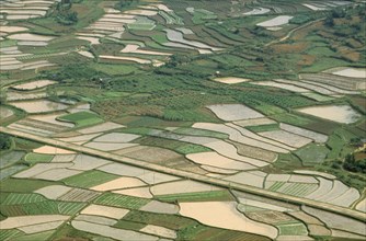 CHINA, Agriculture, "Aerial view over paddy fields in various stages of cultivation, distant man on