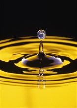 SEA , Abstract, Water droplet in yellow liquid reflecting the earth