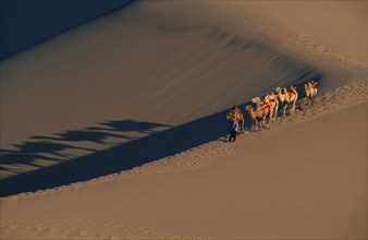 CHINA, Gansu, Dunhuang, Silk Route. View looking down at man leading camels along ridge of sand