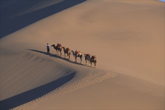 CHINA, Gansu, Dunhuang, Silk Route. View looking down to man leading camels along ridge of sand