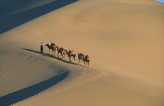 CHINA, Gansu, Dunhuang, Silk Route. View looking down to man leading camels along ridge of sand