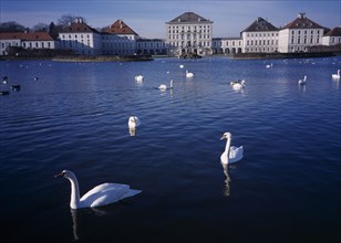 GERMANY, Bavaria, Munich, Swans on the lake at the Nymphenberg Palace.