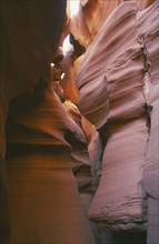 USA, Utah, Lower Antelope Canyon, Pink and golden coloured smoothly erroded canyon walls.