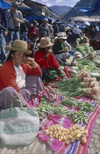 PERU, Cusco Department, Pisac, Line of vegetable sellers at Pisac market.