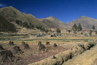 PERU, Puno Administrative Department, La Raya, "View from the train on the altiplano.  Agricultural