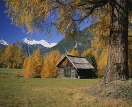 AUSTRIA, Tyrol, General, Wooden barn surrounded by trees in autumn colours with mountains beyond.