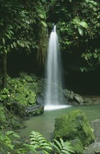 WEST INDIES, St Lucia, Trois Pitons National Park, The Emerald Pool waterfall entering rainforest