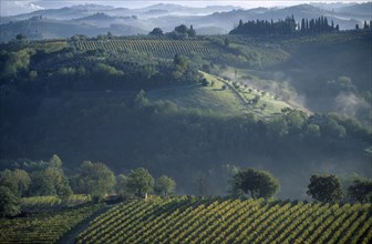 ITALY, Tuscany, San Gimigiano, View over vineyards and hillside beyond.