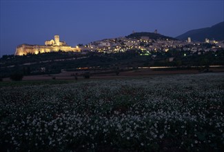 ITALY, Umbria, Assisi, Evening view across field of white flowers towards lights of Assisi.