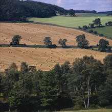 ENGLAND, Northumberland, Hexham, Mixed field patterns with harvested wheat grazing sheep and fallow