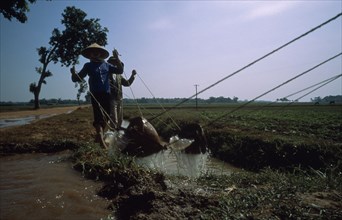 VIETNAM, Agriculture, Irrigation, Irrigating paddy fields along the road to Ha Bac.