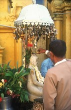 MYANMAR, Yangon, Shwedagon Pagoda.  Man making offering at temple shrine.