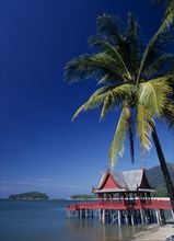 MALAYSIA, Kedah, Langkawi, Pantai Kok beach at The Summer Palace with a coconut palm tree hanging