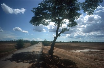 CAMBODIA, Transport, "National Route 6 north of Ba Rai stretching to the skyline, solitary tree on