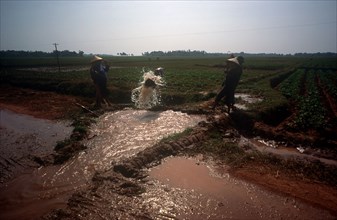 VIETNAM, Farming, Irrigating paddy fields along the road to Ha Bac.