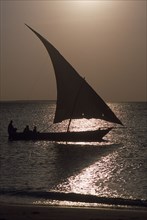 TANZANIA, Zanzibar Island, Kendwa, Dhow sailing boat silhouetted at sunset.