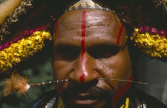PAPUA NEW GUINEA, People, Men, Melpaz speaking Huli tribesman in body paint and head dress.