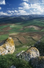 SPAIN, Andalucia, Malaga Province, "View over plain towards distant hills.  Large, lichen covered