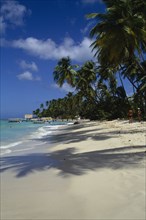 WEST INDIES, Tobago, Pigeon Point, View along the coconut palm tree lined beach towards the jetty