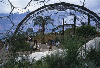 ENGLAND, Cornwall, St. Austell, Eden Project.  Warm Temperate Biome interior with visitors walking