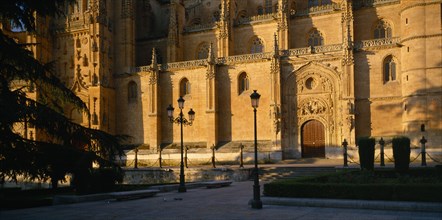 SPAIN, Castilla Y Leon , Salamanca , "The Cathedral, part view of exterior in golden sunlight, tree