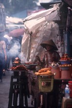 VIETNAM, Mekong Delta, Vinh Long, Woman cooking various meat dishes at a roadside market stall.