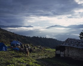 BHUTAN, Phajoding, "Trekkers breaking camp, pack ponies outside blue tents on hillside with view