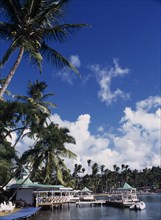 WEST INDIES, St Lucia, Marigot Bay, View over water with overhanging palm trees beside Marigot Bay