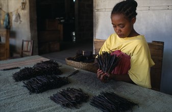 MADAGASCAR, Antalaha, Woman grading vanilla pods.