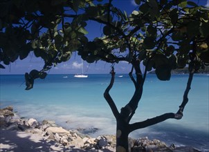 WEST INDIES, Antigua, Dickenson Bay, "View across clear, aquamarine water towards distant yachts