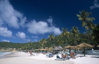 WEST INDIES, Antigua, Dickenson Bay, View along sandy beach lined with palm trees and thatched sun