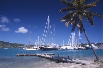 WEST INDIES, Antigua, Falmouth Harbour, Wooden jetty under leaning palm tree extended into harbour