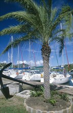 WEST INDIES, Antigua, English Harbour, Nelsons Dockyard.  yachts moored against quay with palm tree