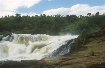 UGANDA, Murchison Falls, View towards fast flowing water with forest behind.